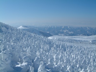 山形の雪の様子