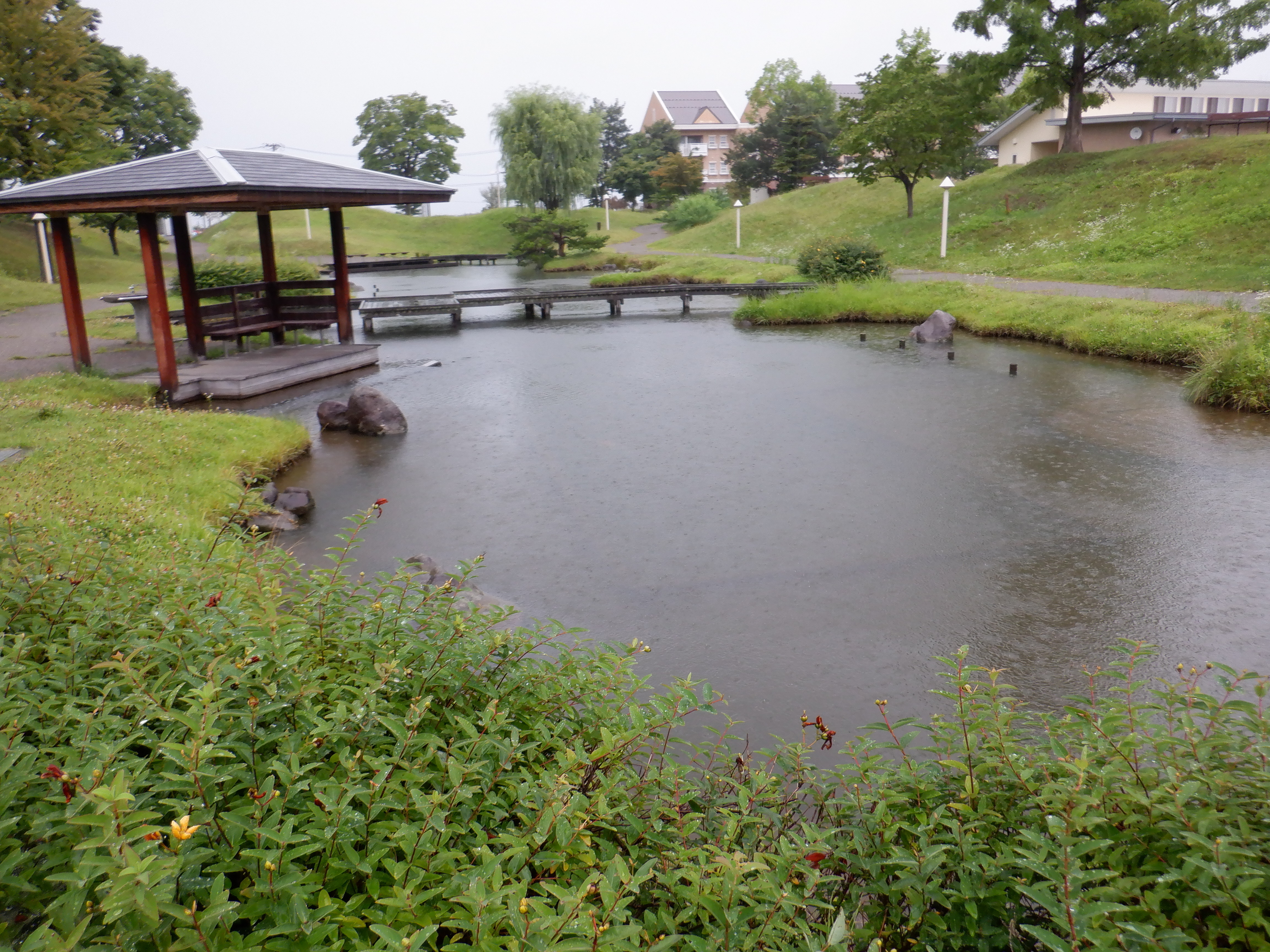 健康の森公園写真2