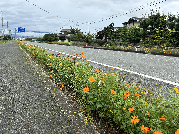 東郷修正３