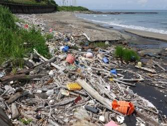 海岸漂着物の写真