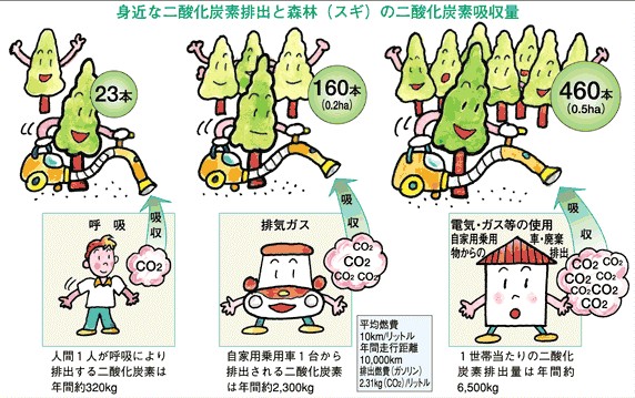 CO2吸収