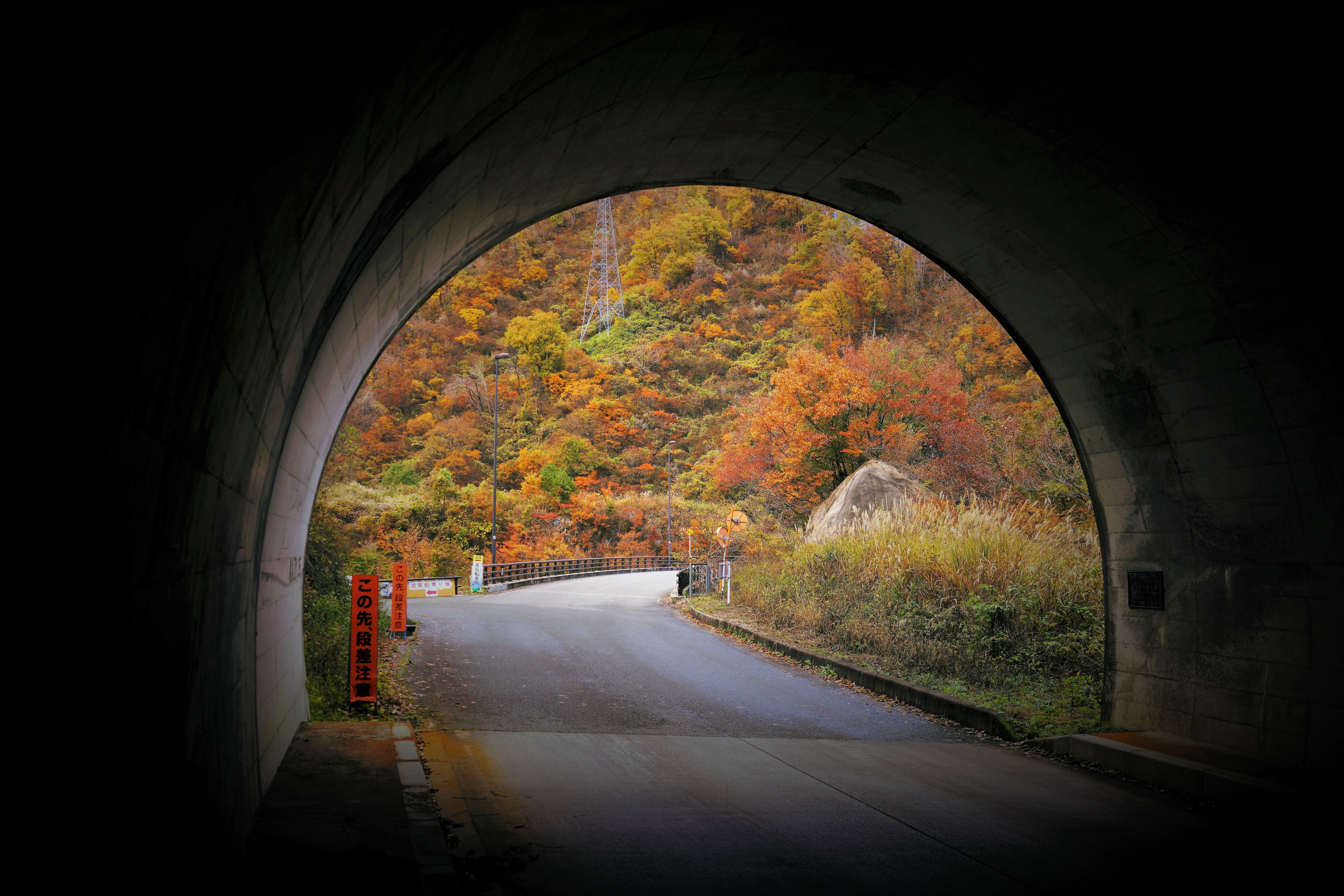 受賞作品「長井ダムトンネルからの紅葉」