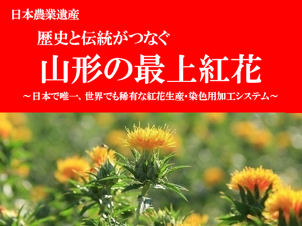 日本農業遺産「最上紅花」