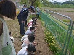 ひまわりの種うえ