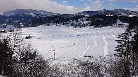 棚田写真