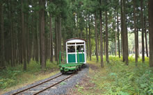 真室川森林鉄道の写真6