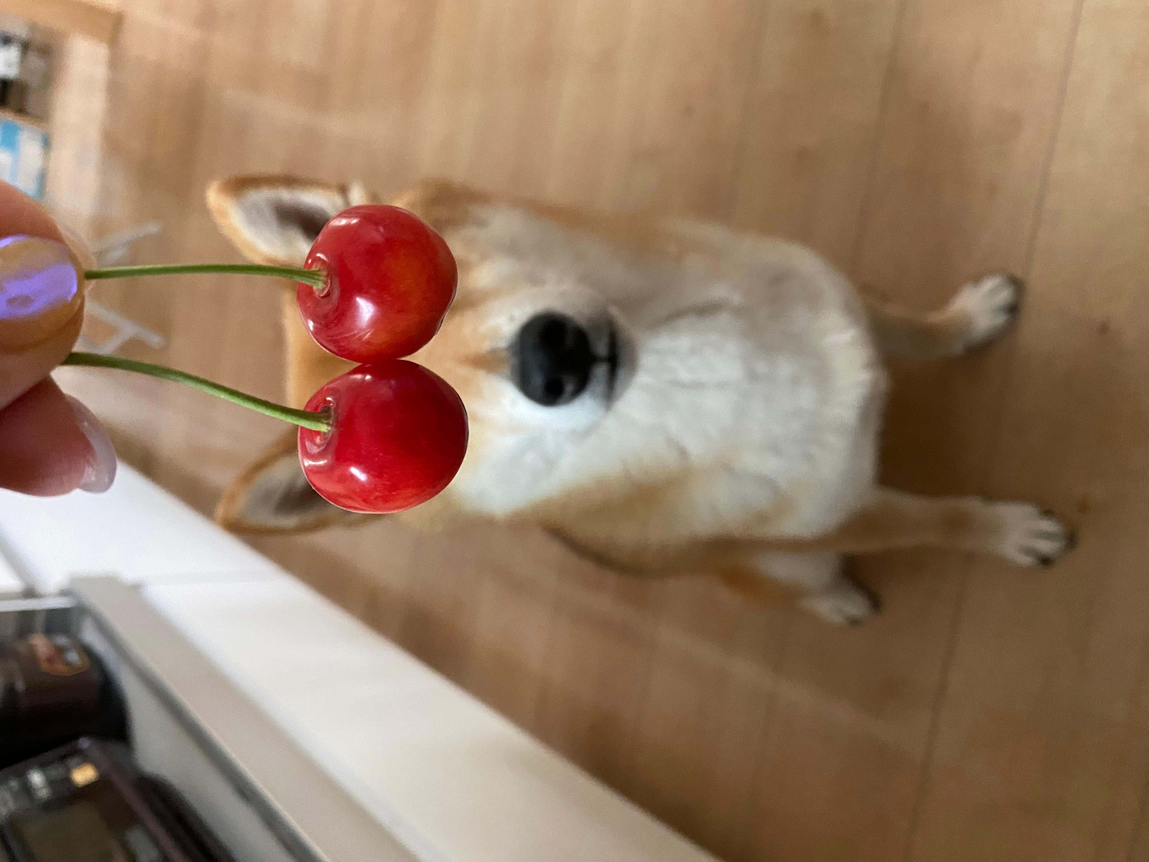 特別賞3