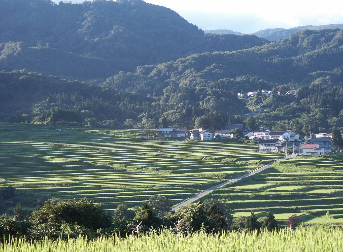 大網の棚田写真