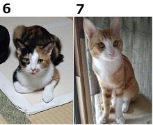 0123