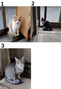 1220