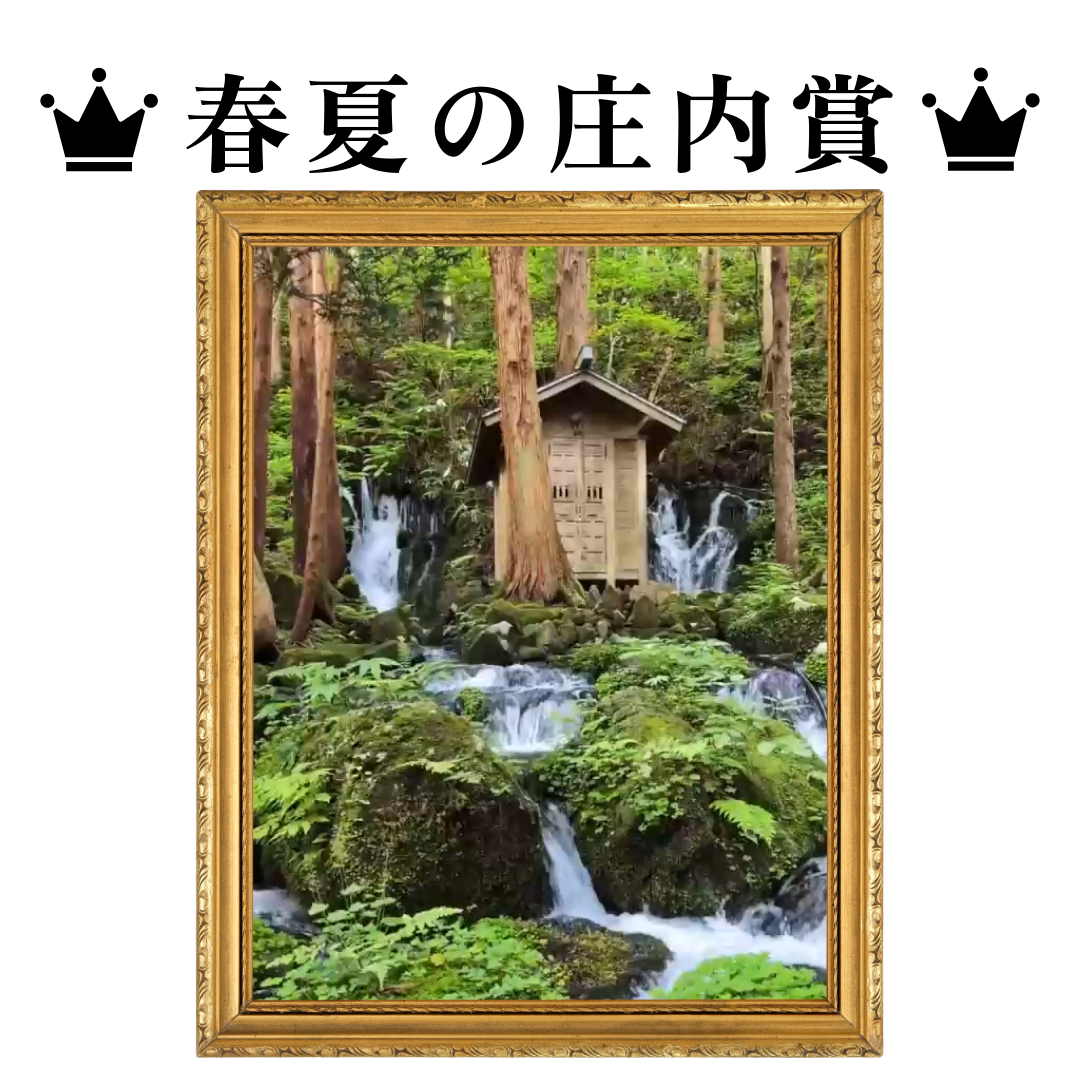 25spsu_syonai