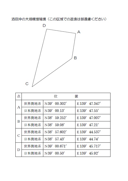 酒田沖大規模増殖