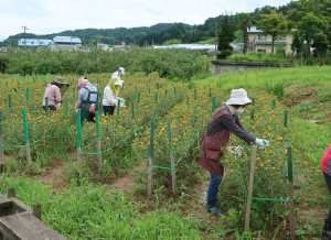 知事のほのぼの訪問の様子2